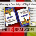 Kamagra Oral Jelly 100Mg India 12